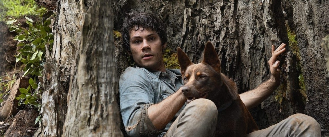 A Plethora of Halloween-Friendly Films, Now Available to Stream